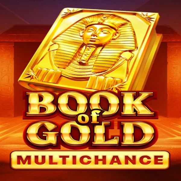 Book of Gold Multichance logo by Playson at Realz Casino