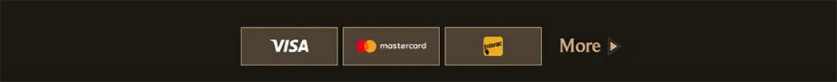 Payment methods footer with Visa, Mastercard, and Maestro icons plus a “More” link on a dark background.