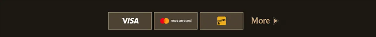 Payment methods footer with Visa, Mastercard, and Maestro icons plus a “More” link on a dark background.