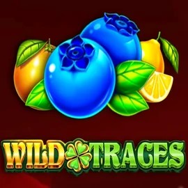Try Wild Traces slot by Amusnet Interactive on realzz.ca – logo image
